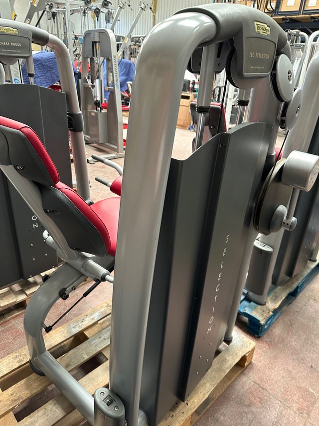 MÁQUINA DE CUÁDRICEPS MARCA TECHNOGYM de segunda mano por 1.100 EUR en