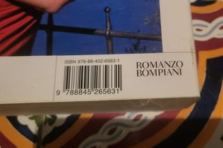 Romanzo LuieLei di Andrea De Carlo