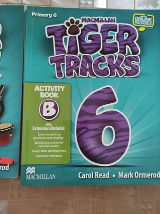 Macmillan Tiger Tracks 6