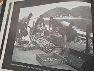 FOTOGRAFIES DE RAFAEL FERRER