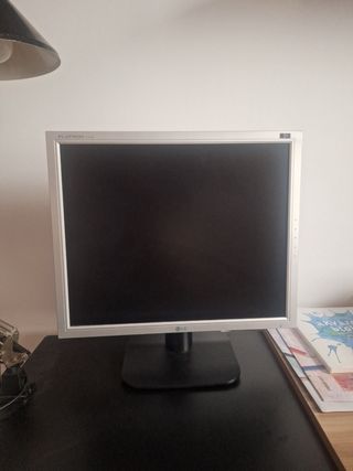 monitor LG