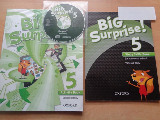 Libro Activity Book Big Surprise 5