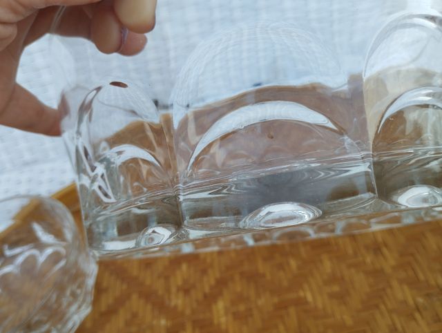 Juego de macedonia de cristal de 5 servicios