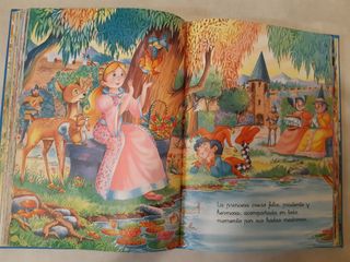 Libro infantil 12 cuentos clásicos.