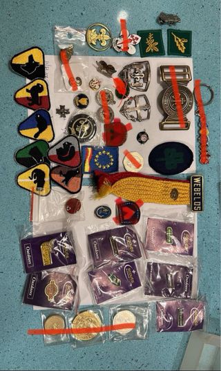 Lote insignias V