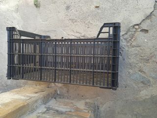 cajas plastico fruta