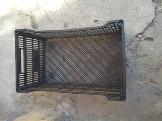 cajas plastico fruta