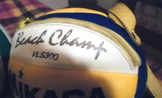 Borsa a forma di pallone da beachvolley