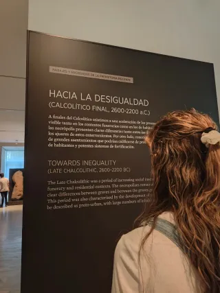 Clases de Historia y política online.