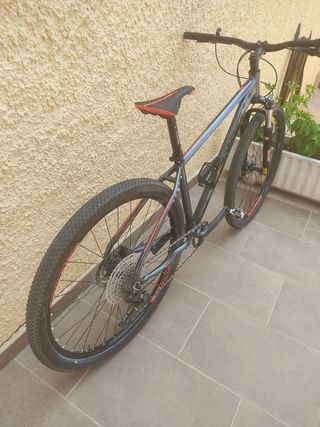 Bicicleta de montaña
