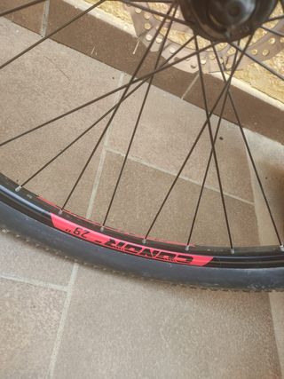 Bicicleta de montaña