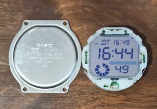 Módulo y trasera de Reloj Casio
