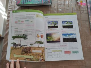 SM Natural Science más Savia