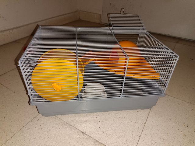 jaula hamster