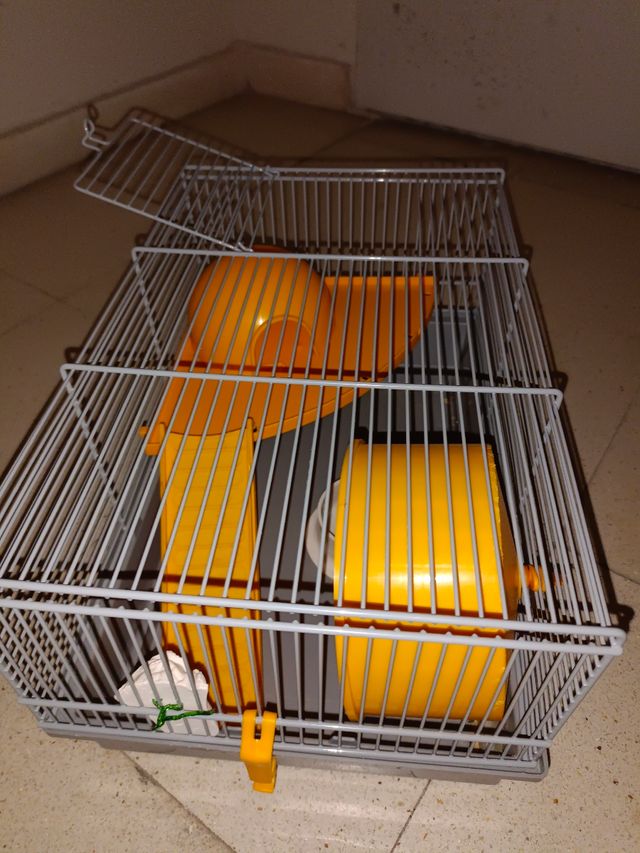 jaula hamster