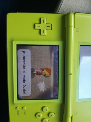 Giochi e componenti per Nintendo DS Lite