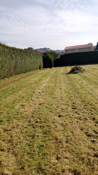 trabajos agroforestales