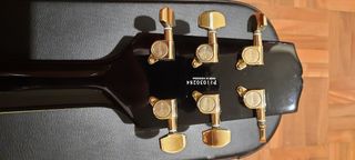 Hamer Mónaco XT Series con Floyd Rose y estuche.