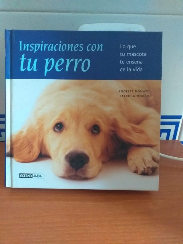 Inspiraciones con tu perro