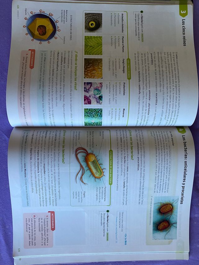 Biología y Geología 1 ESO editorial SM