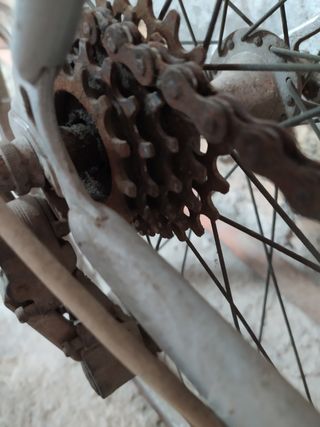 bicicleta carrera Orbea Aralar