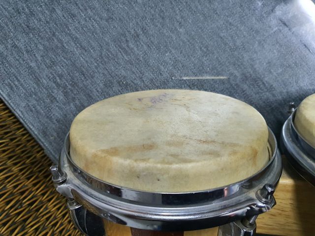 bongos profesionales