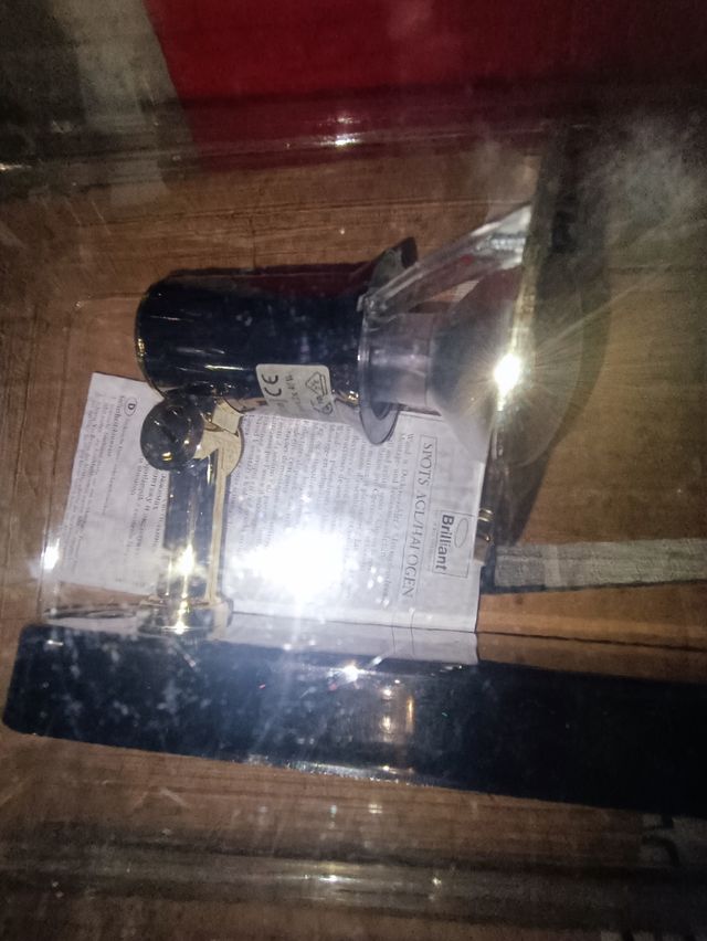 Aplique en dorado con dos ocid