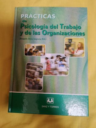 psicología de las organizaciones