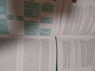 psicología de las organizaciones