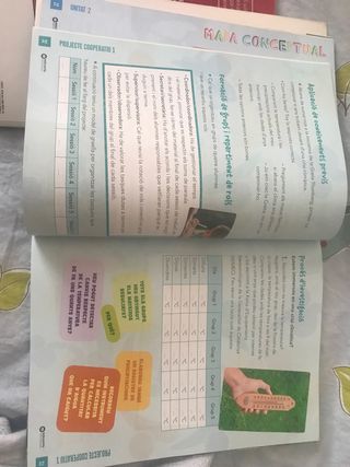 Lengua Castellana y Coneixement del medi 3ºPrimari