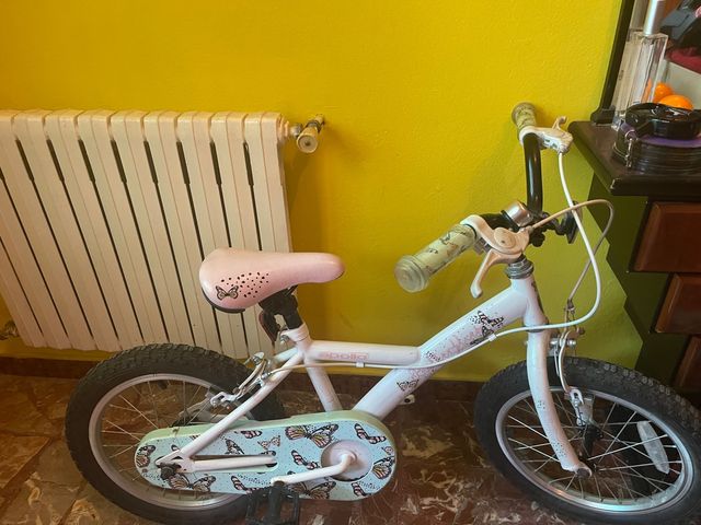 Bicicleta niña