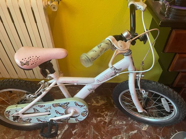 Bicicleta niña
