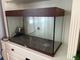 acuario Juwel Río 125
