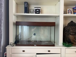 acuario Juwel Río 125
