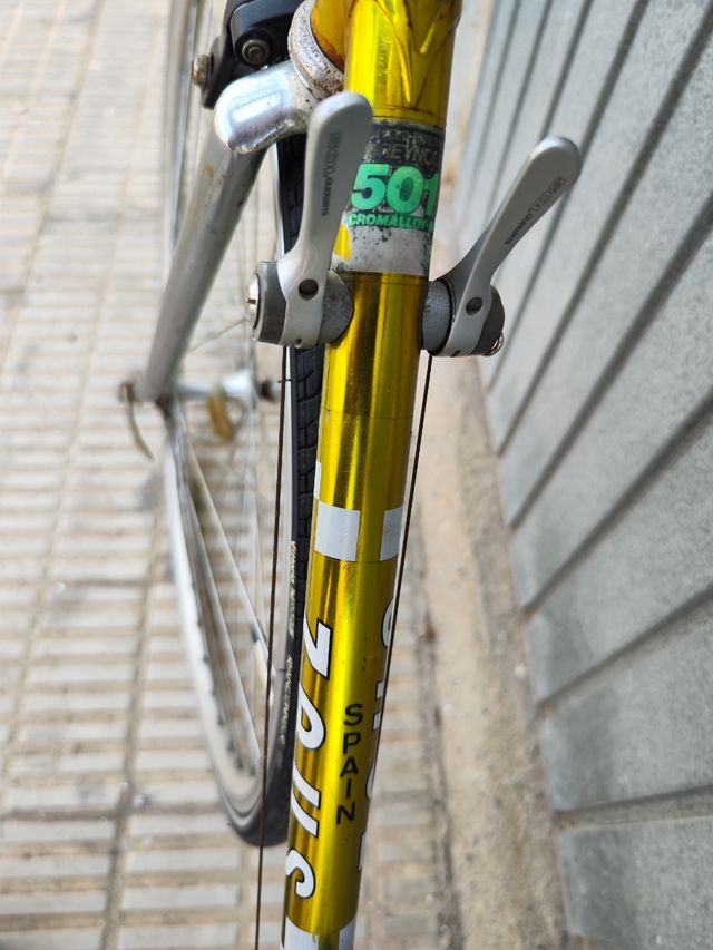 Zeus cosmos cromovelato 