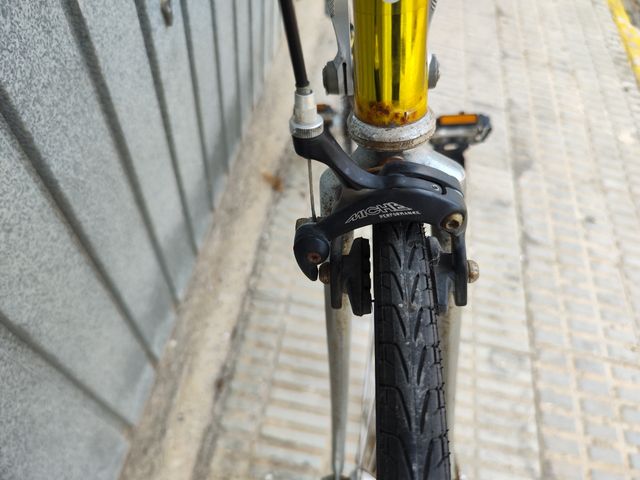 Zeus cosmos cromovelato 