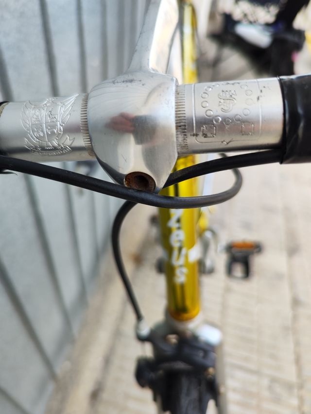 Zeus cosmos cromovelato 