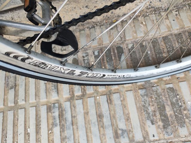 Zeus cosmos cromovelato 