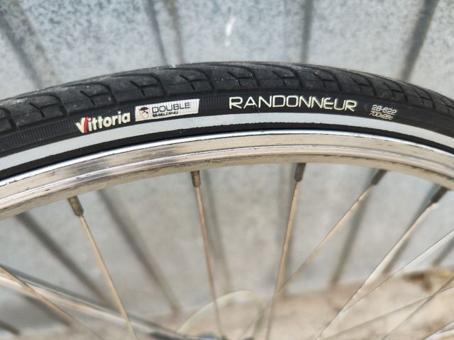 Zeus cosmos cromovelato 