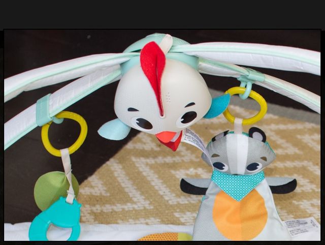 Gimnasio infantil evolutivo musical!!