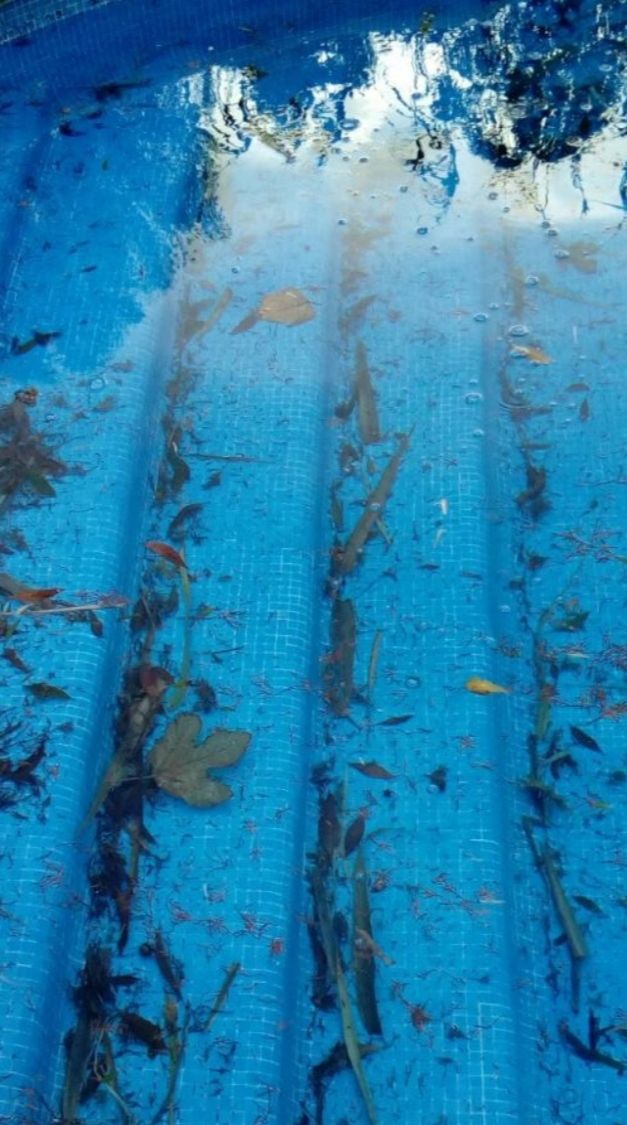 mantenimiento, limpieza de piscina ,no tires agua