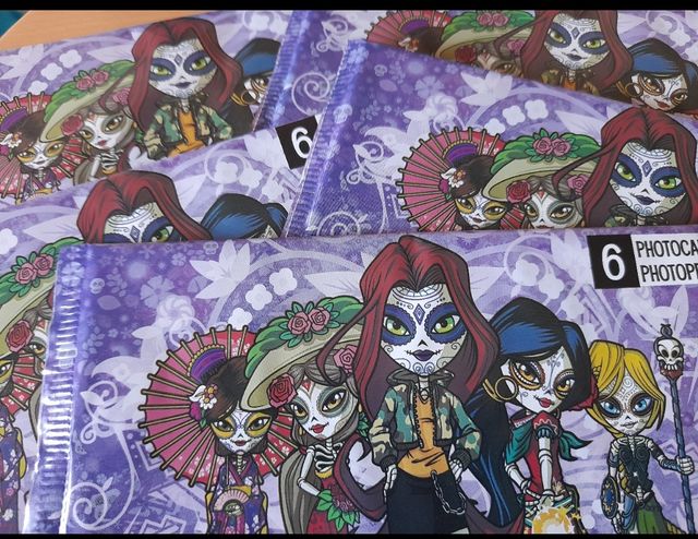 LOTE 2 CAJAS CATRINAS Y 5 SOBRES MÁS