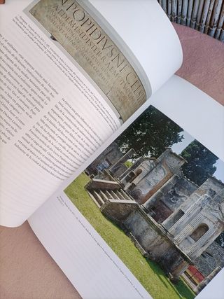 Libro POMPEYA, catástrofe bajo el Vesubio.