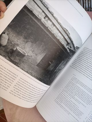 Libro POMPEYA, catástrofe bajo el Vesubio.