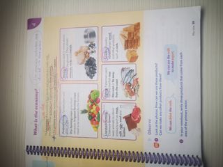 libros de ciencias 4° de primaria