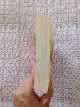 LIBRO "FLAVIA DE LOS EXTRAÑOS TALENTOS"