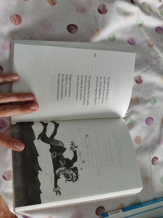 Poesía española para jóvenes