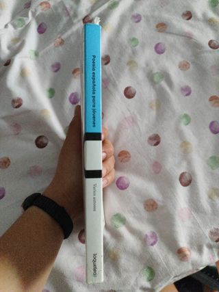 Poesía española para jóvenes