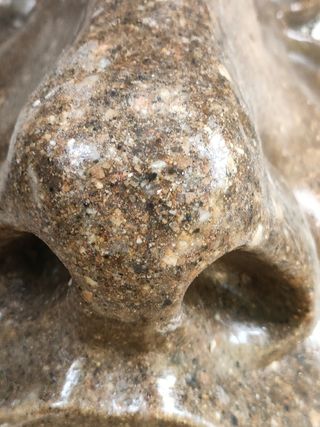 Nariz del David en resina