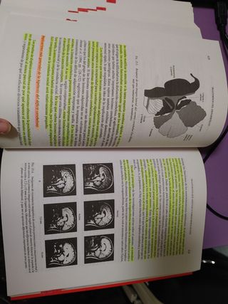 libro trastornos del desarrollo